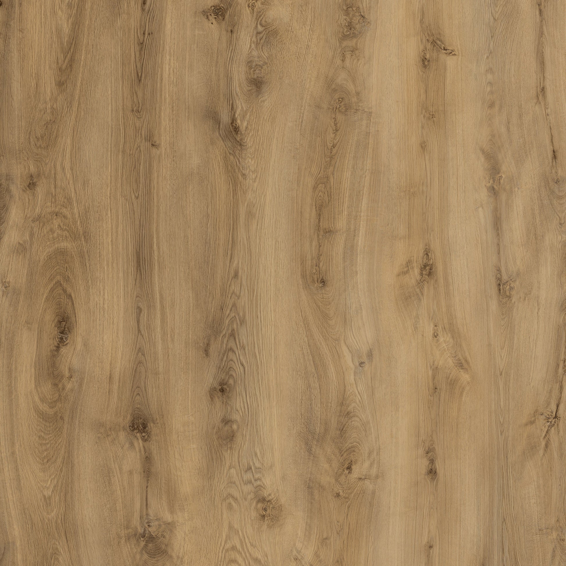 Lusso Naples Carriage Oak Gluedown LVT Vinyl Flooring