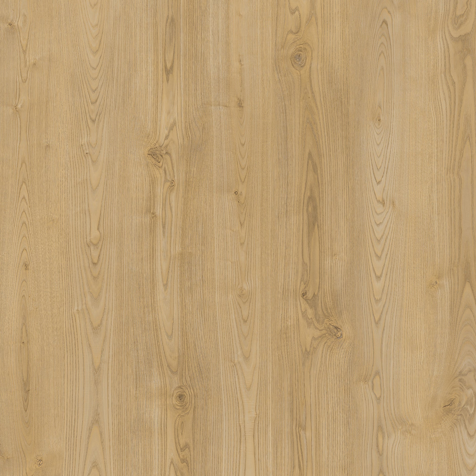 Lusso Naples Malthouse Oak Gluedown LVT Vinyl Flooring